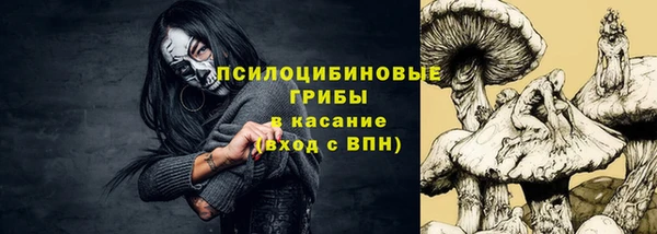 молекула духа Армянск